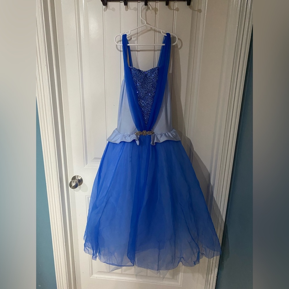 Cinderella costume
